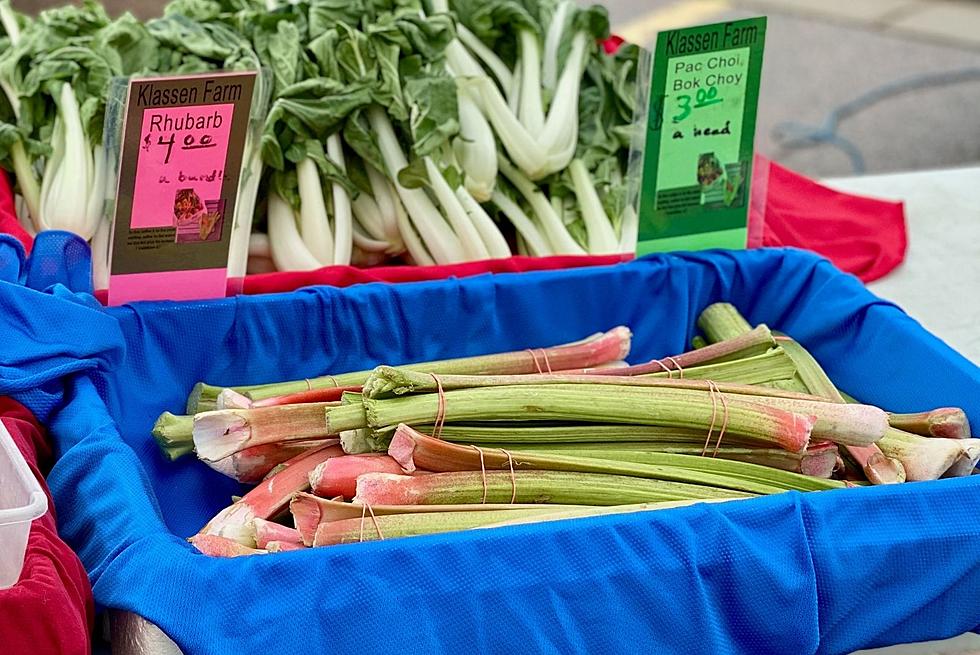 This Is The Right Way To Harvest South Dakota Rhubarb