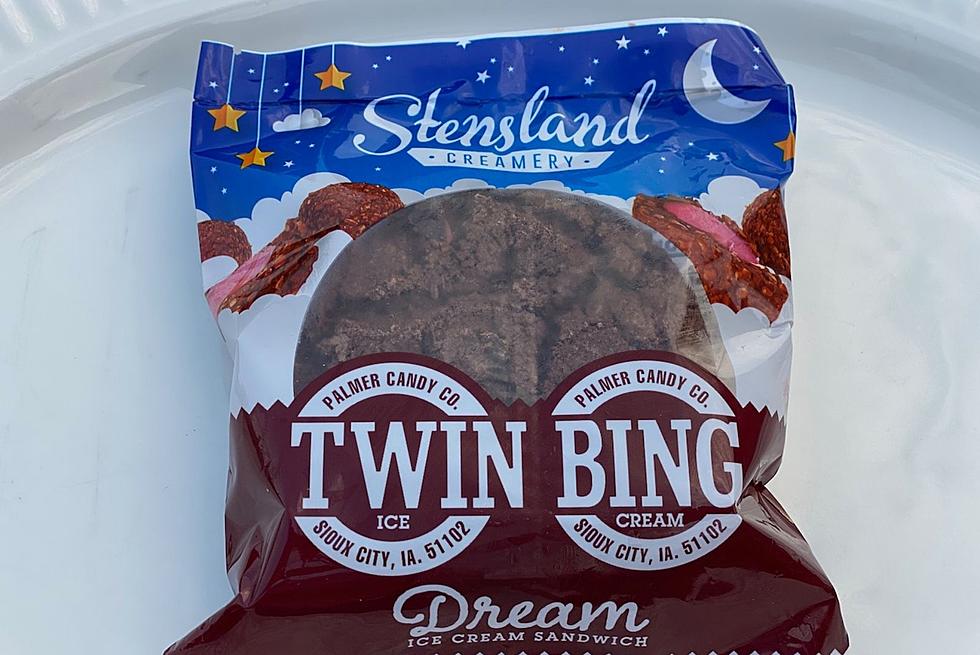 Twin Bing 30 OZ Tumbler - palmer-candy