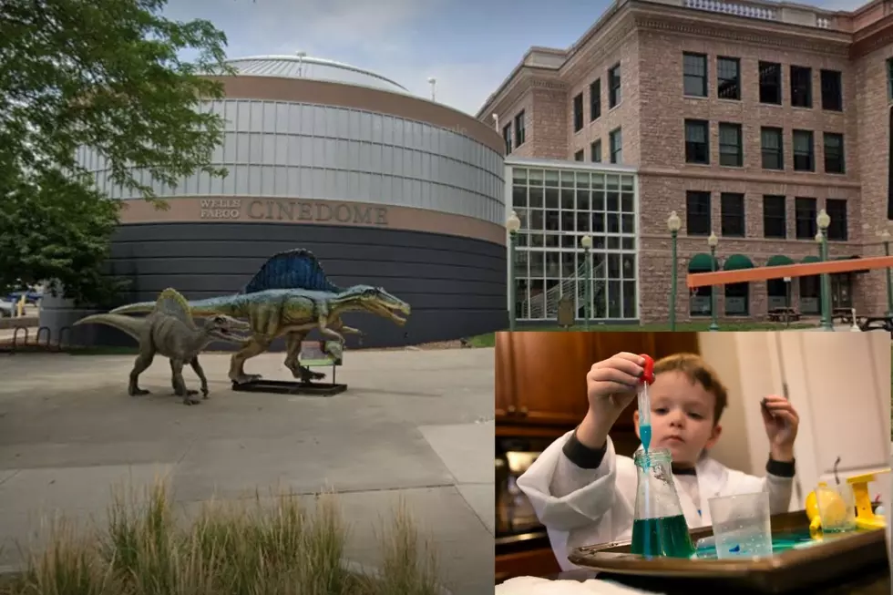 Why You’ll Want to Bring Your Kids to Spooky Science at the Pavilion