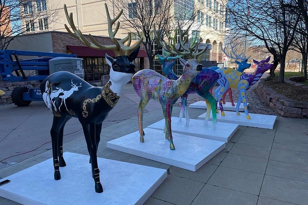 There&#8217;s a New Addition to the Sioux Falls Downtown Holiday Plaza