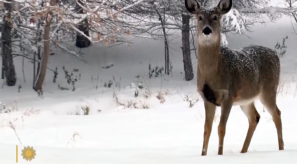 South Dakota State Park Winter Video On CBS Sunday Morning