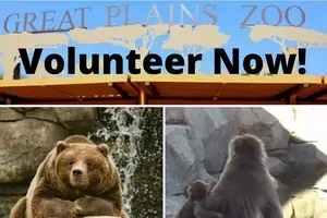 What&#8217;s So Great About Being A Volunteer at the Great Plains Zoo?