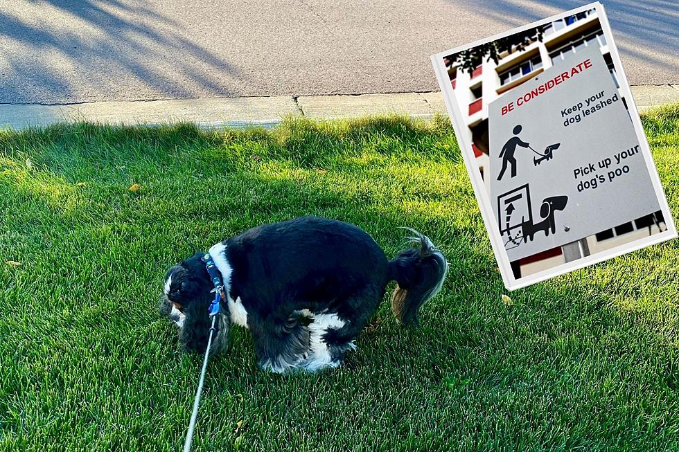 Is It Against Sioux Falls Law To NOT Pick Up Your Dogs Poo?