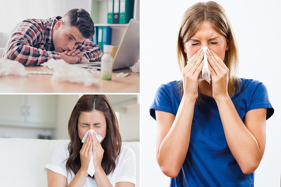 How Long Can South Dakotans Expect to Suffer with Allergy Season?