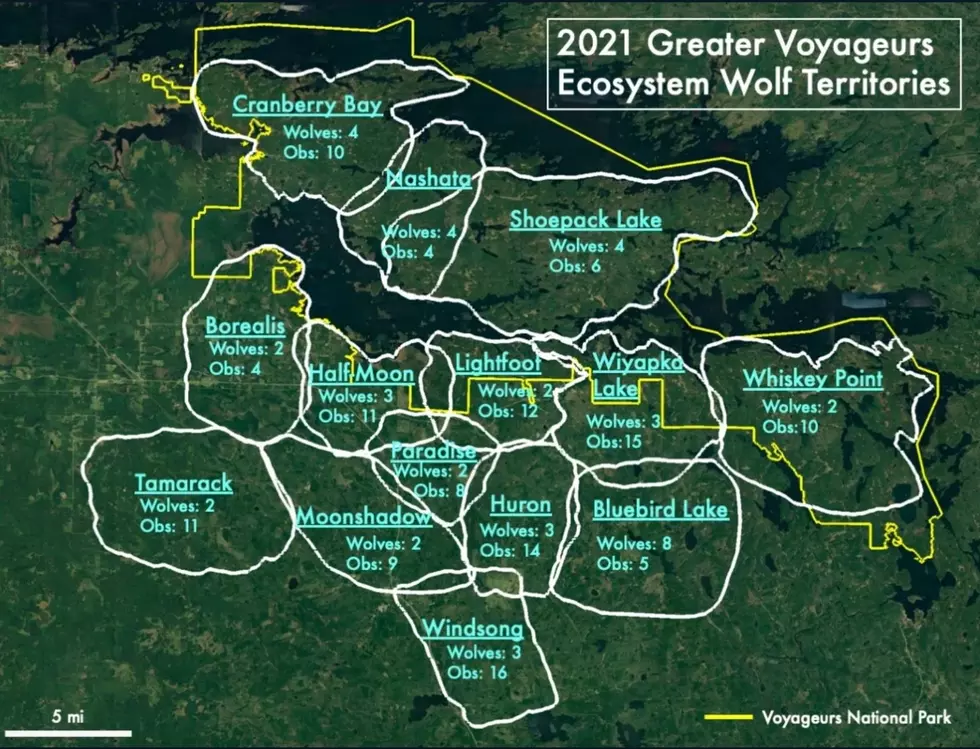 voyageurswolfproject.org