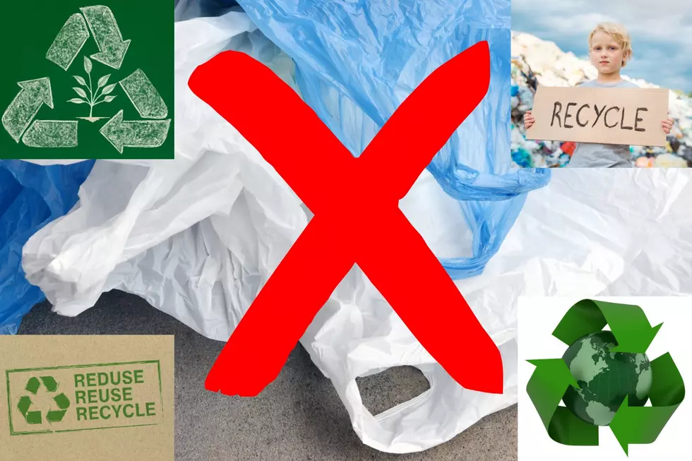 Why It's Important Not To Recycle Plastic Bags 