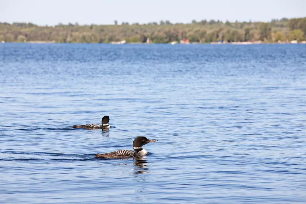 Only 1 Minnesota Lake Makes List of “10 Cleanest Lakes in the US&#8221;