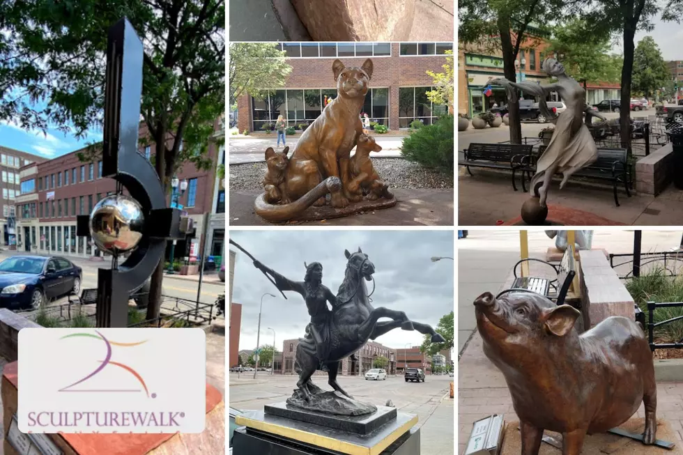 Got Art? Sioux Falls Looking for 2023 SculptureWalk Applications