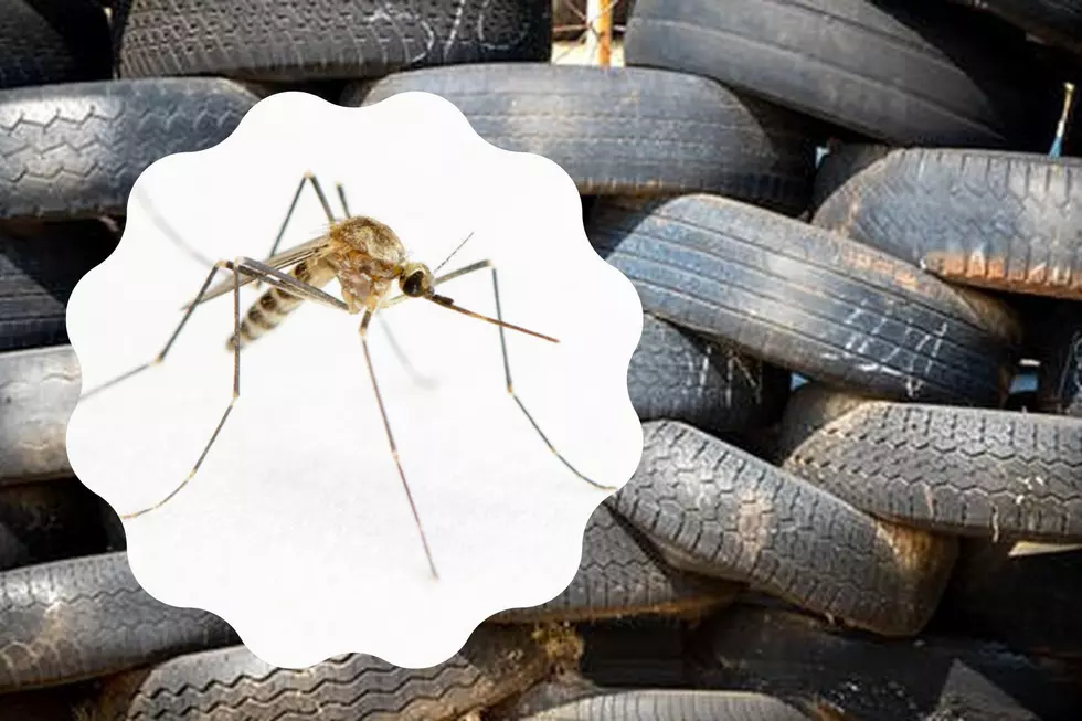 Get Rid of Your Old Tires and Help Stop the Itch!