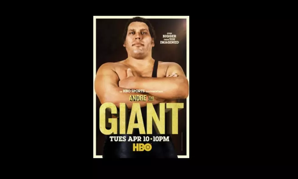 André the Giant (film)