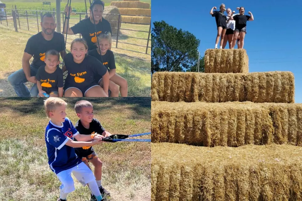 Mellegaard family, Hay Bale Mountain, gourd launchin'