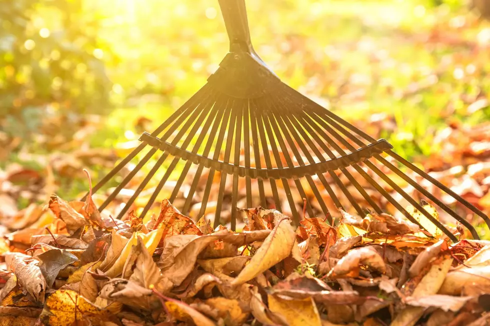 Have Rake? Will Travel? Taking the' Spooky 'Out of Yard Work