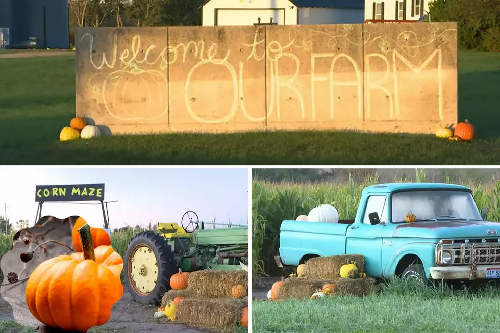 Just West of Sioux Falls, ‘Our Farm, SD’ Is a Real Gourd Mine!