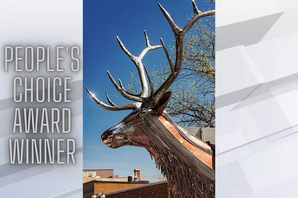 Sioux Falls SculptureWalk Crowns 2022 People&#8217;s Choice Award Winner