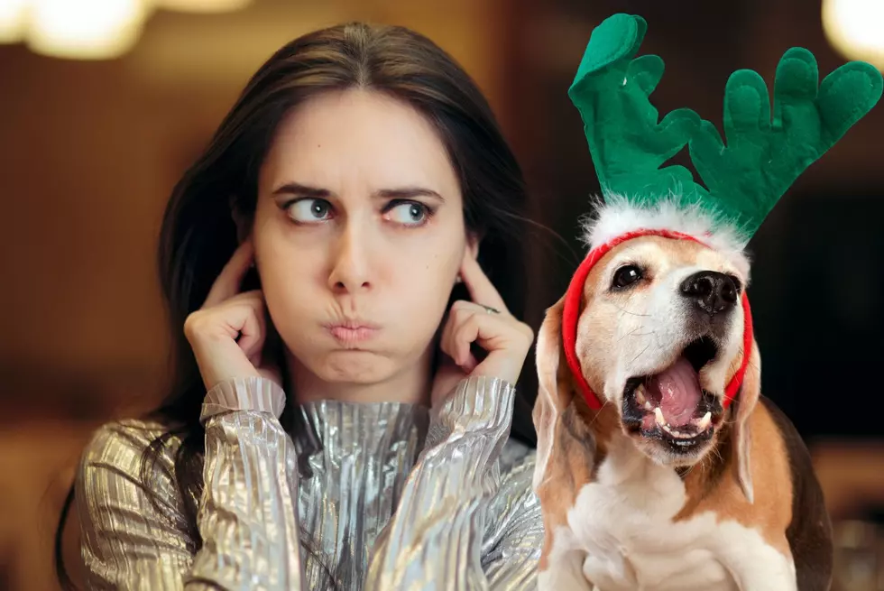 Most LOVED and HATED Christmas Songs In Minnesota, Iowa, and SD