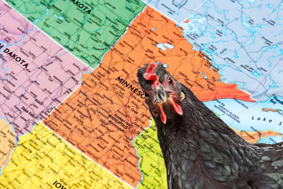 Minnesota Woman Assaults Boyfriend With A Chicken&#8230;Really.