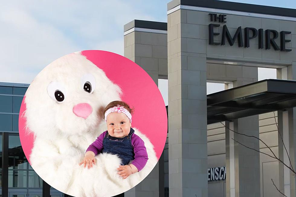 The Empire Mall Bunny Photo Experience Starts Hoppin' March 17th 