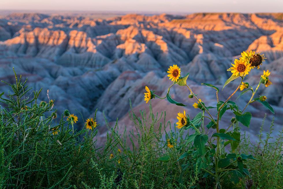 Where Does South Dakota Rank On Most Beautiful States List?
