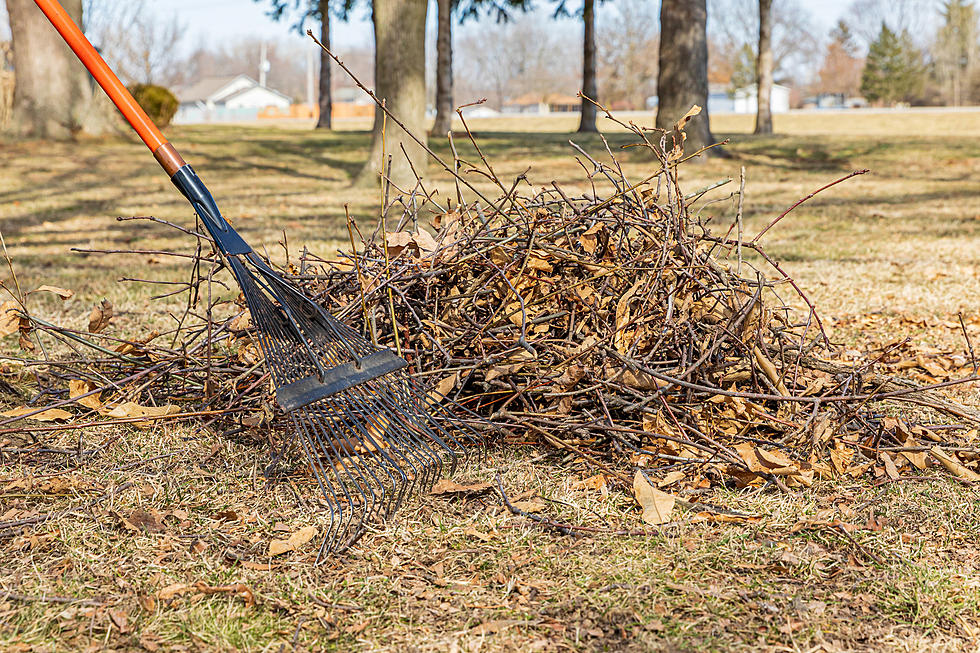 Spring Spruce up Time? Sioux Falls Yard Drop-off Site Now Open