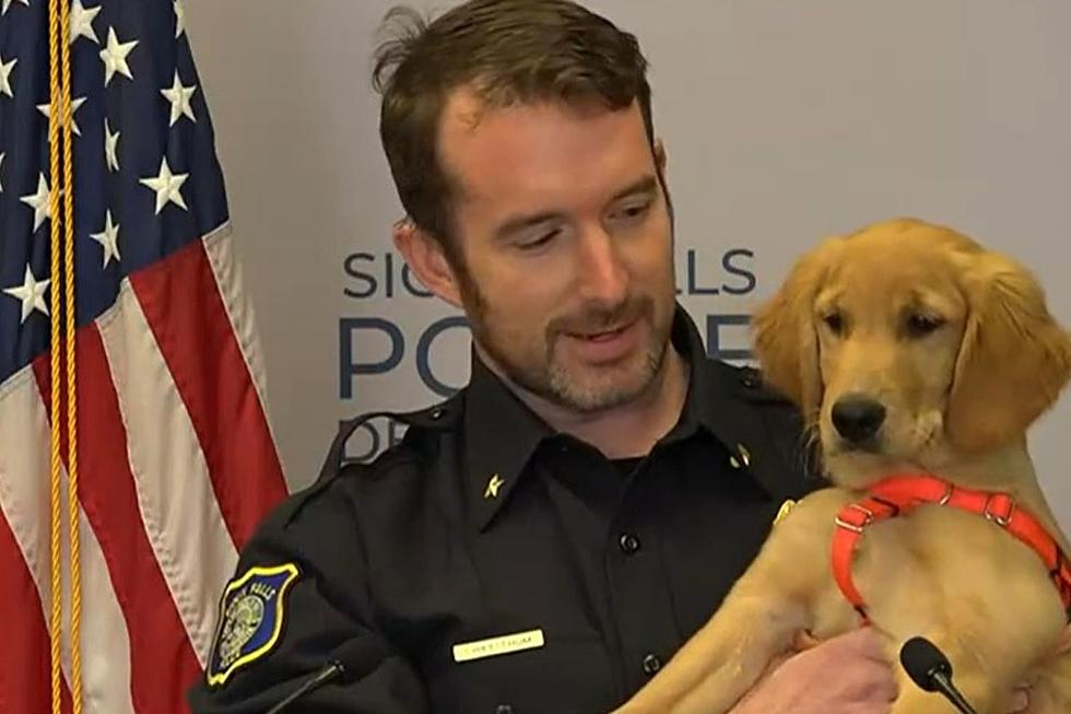 Sioux Falls Police Just Got a New Four-Legged Cop This Week