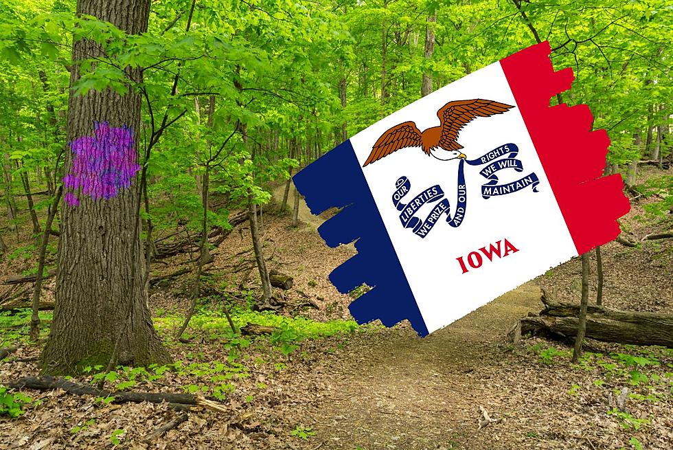 You Should Leave NOW If You See Purple Paint In Iowa!