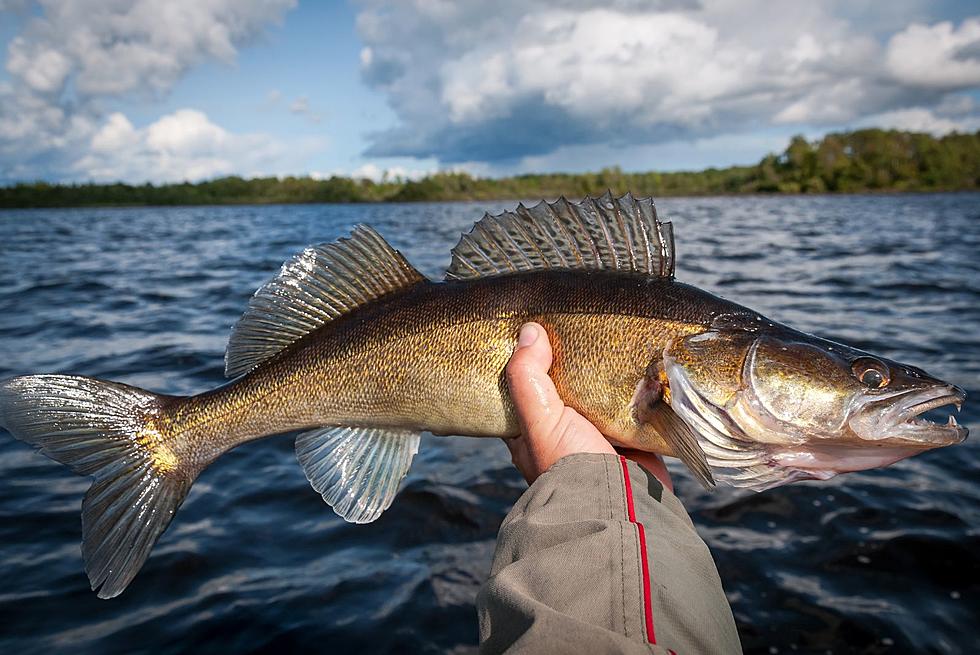 Top-10 Very Best Fishing Lakes In Minnesota