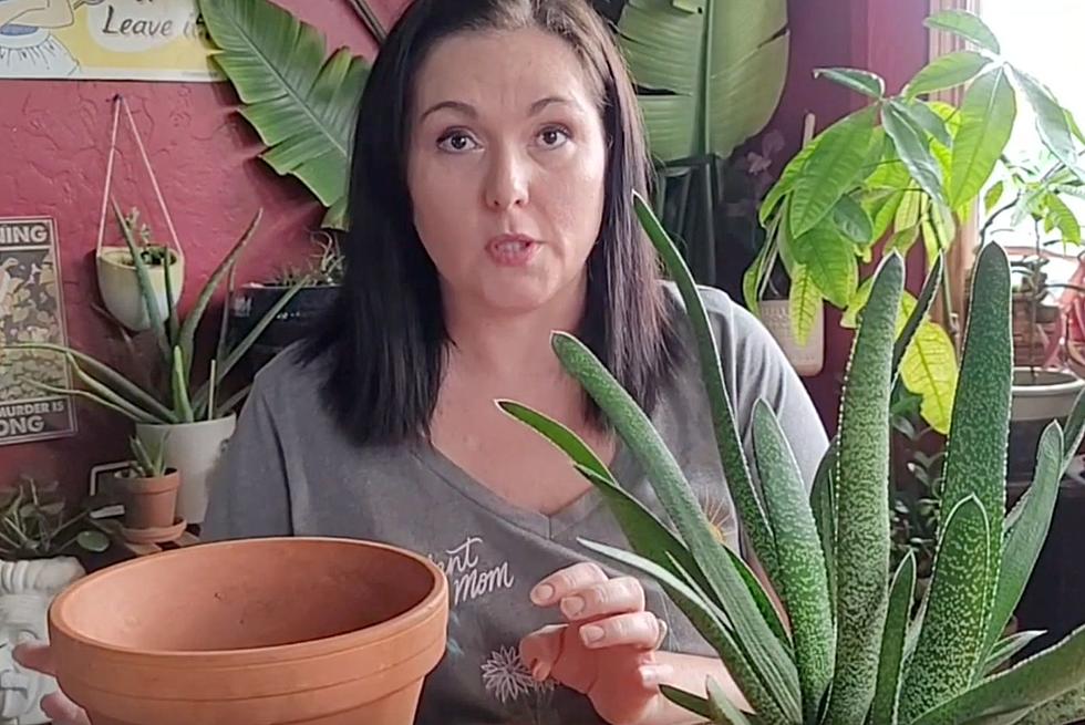 South Dakota Woman Starts Channel To Help Fellow Plant Addicts