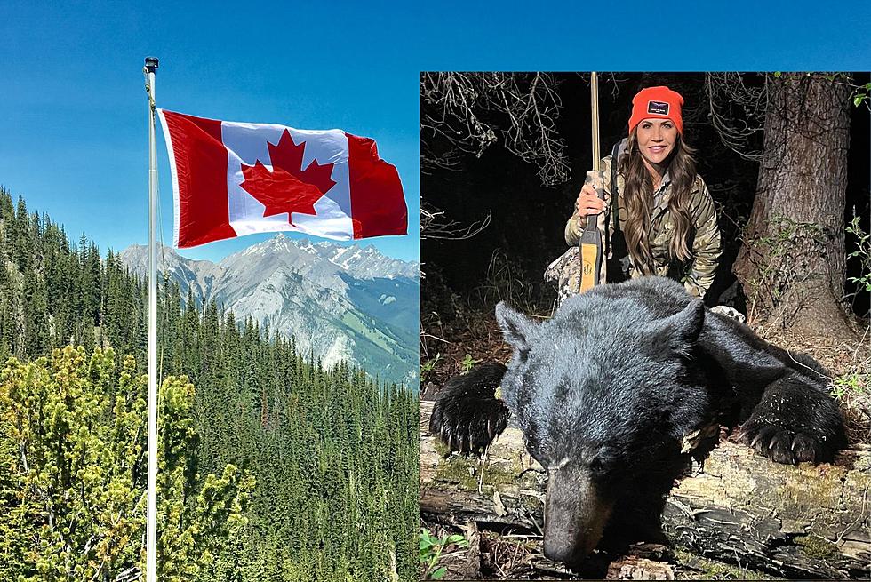 South Dakota Governor Noem Goes To Canada To Kill Bear