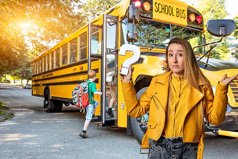 What Do The 3 Black Lines On The Side Of School Bus Really Mean?