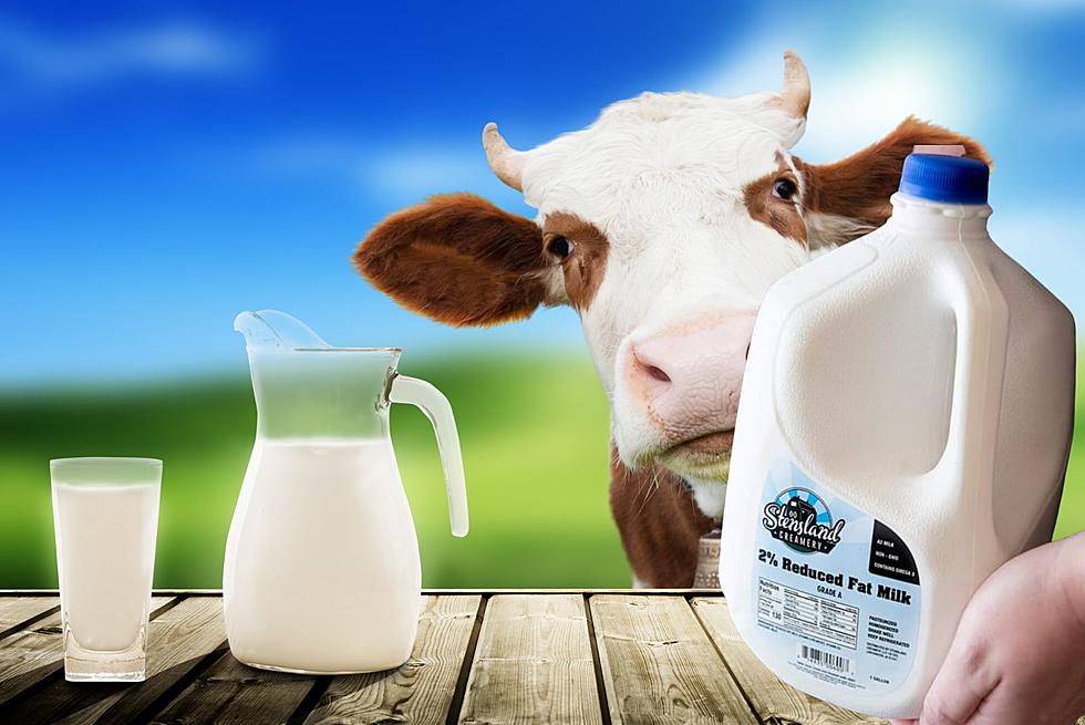 Stensland Family Farms Will Stop Bottling Milk