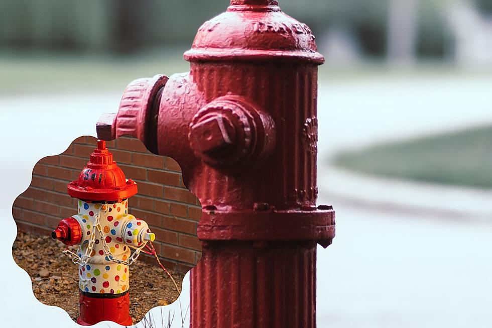 What’s the Meaning behind Different Colored Sioux Falls Fire Hydrants?