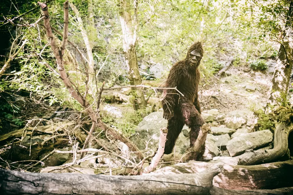 Is A Minnesota Bigfoot Throwing Rocks At Hikers and Fishermen-Getty Thinkstock