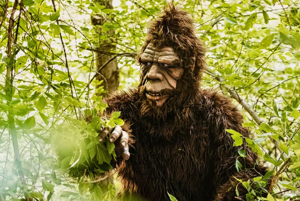 Is A Minnesota Bigfoot Throwing Rocks At Hikers and Fishermen-Getty Thinkstock