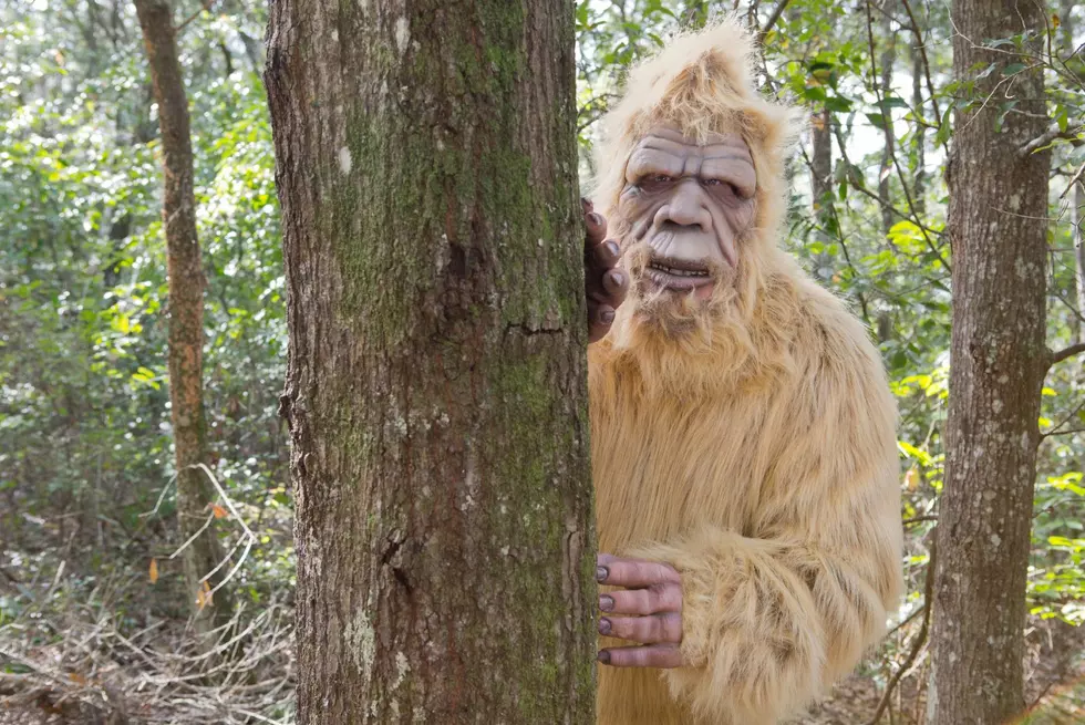 Is A Minnesota Bigfoot Throwing Rocks At Hikers and Fishermen-Getty Thinkstock