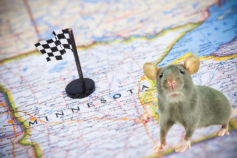 Minnesota City Tops 2023 List Of ‘Rat Infested Cities’