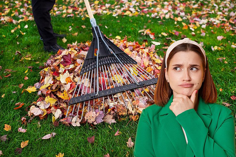 Should You Actually Rake Your Leaves?