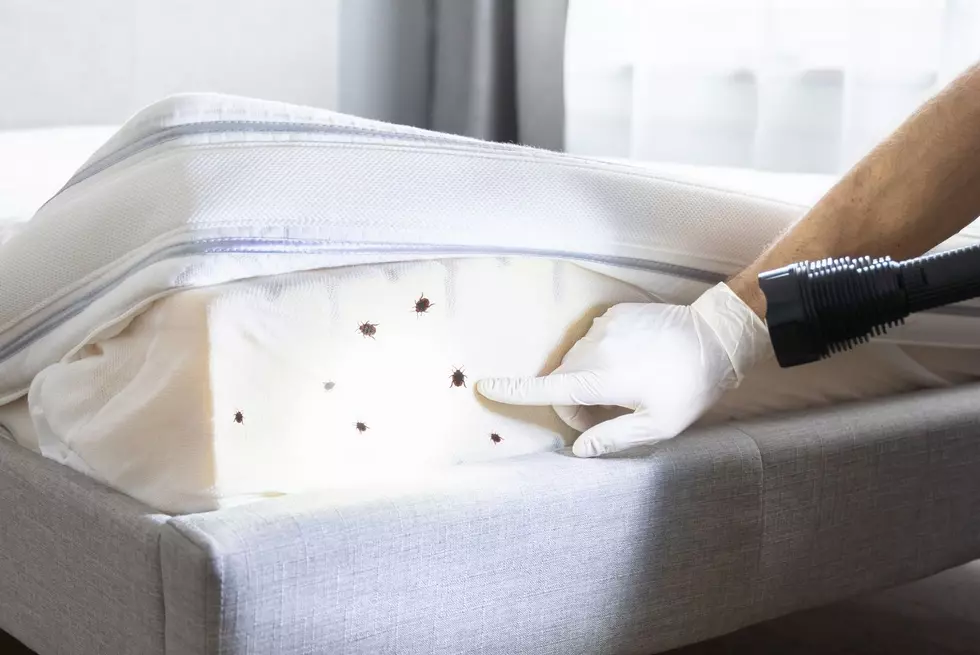 Two Iowa Towns Ranks High On List Of Worst Bed Bug Cities 2023-Getty Thinkstock