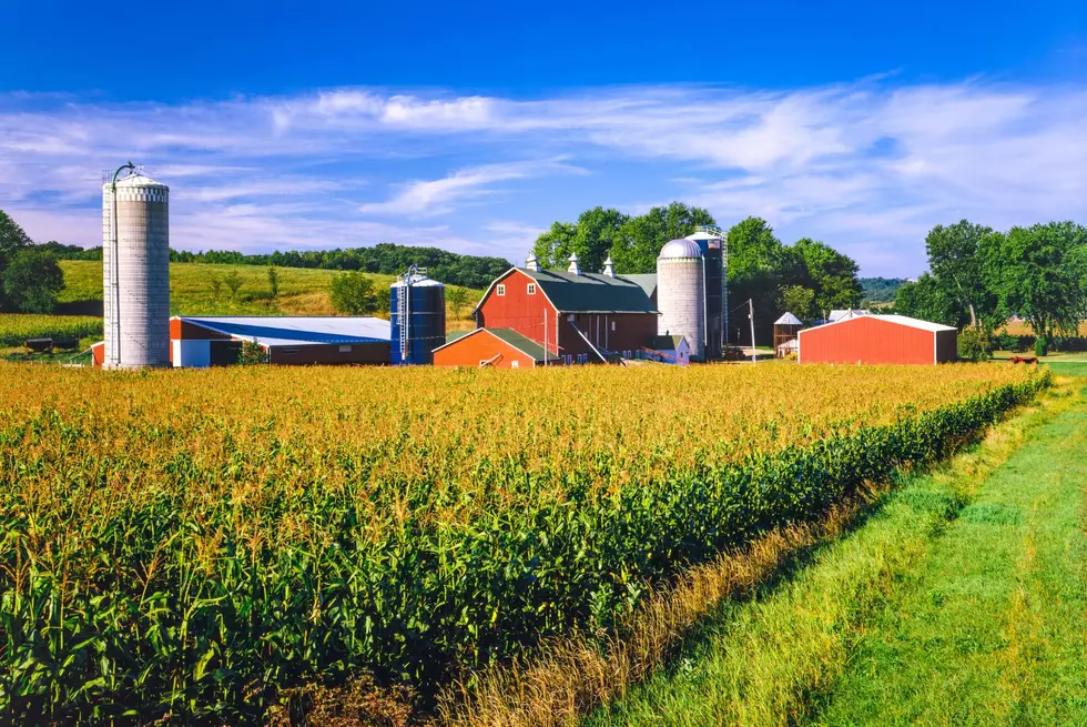 Top Iowa Crops-Getty Thinkstock