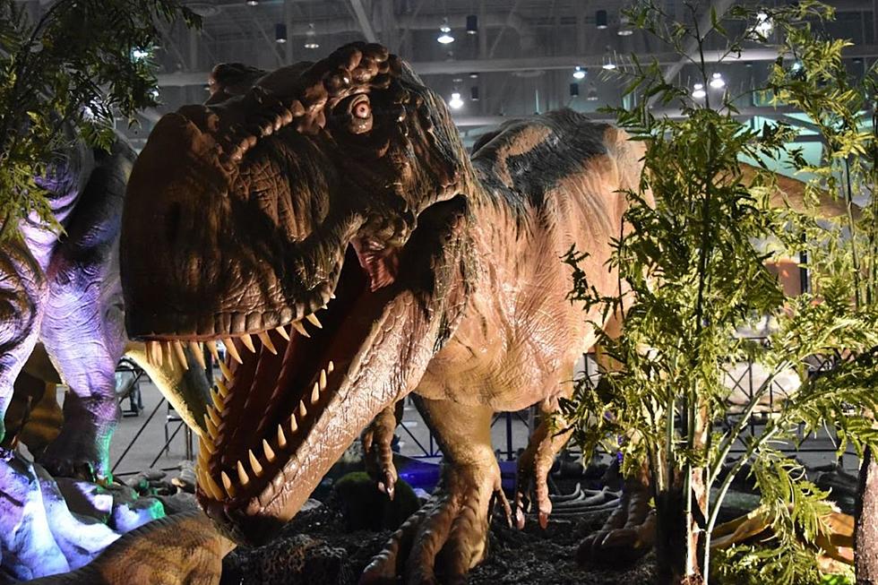 Jurassic Quest Roars Its Way Back Into Sioux Falls