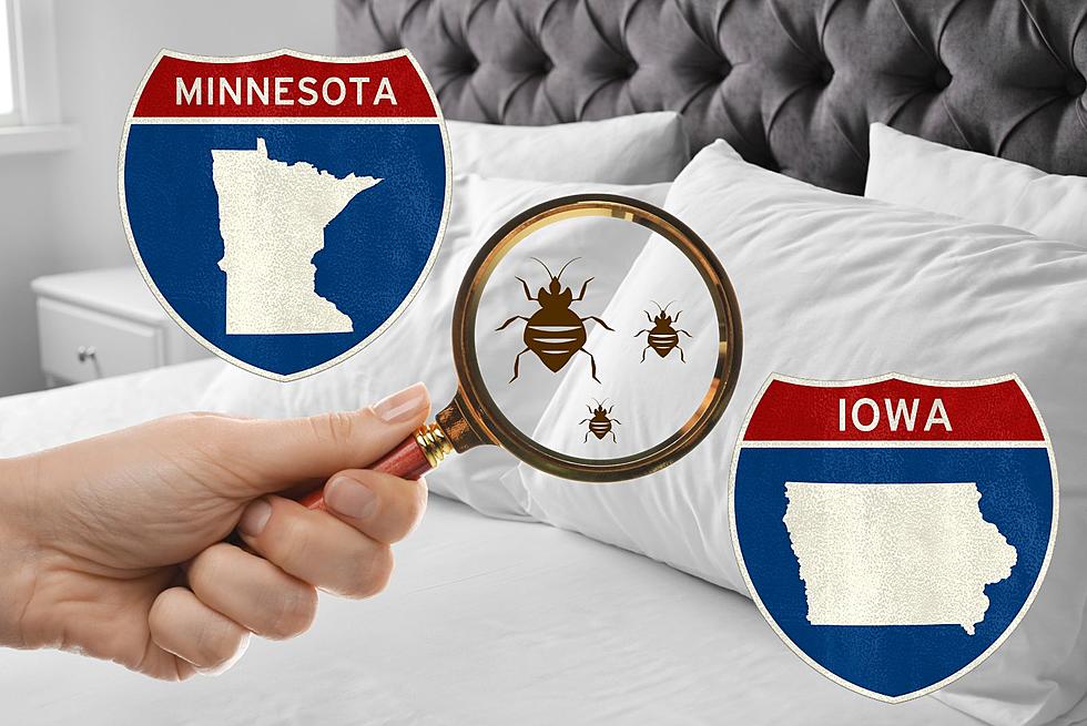 Minnesota And Iowa Towns Make List Of &#8216;Worst Bed Bug Cities 2024&#8242;