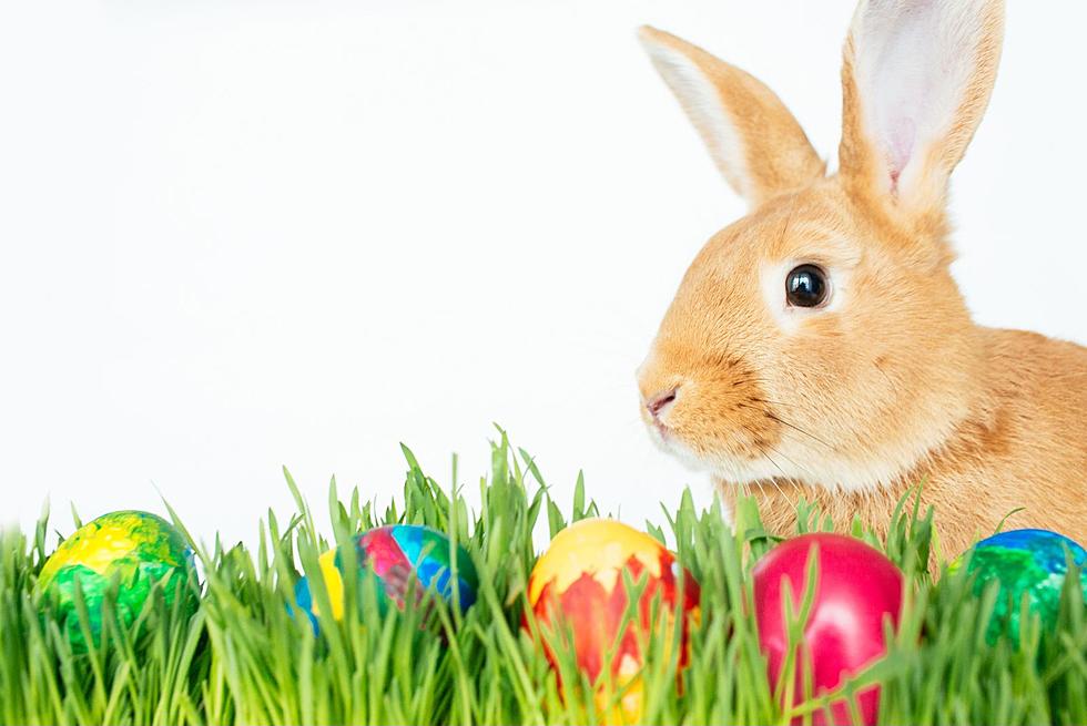 Empire Mall's Easter Bunny Hops Back Into Town Soon!