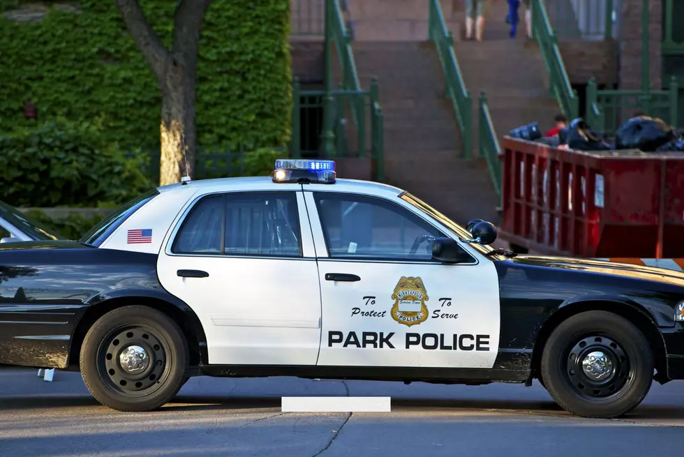 Minnesota Police Cruiser-Getty Thinkstock