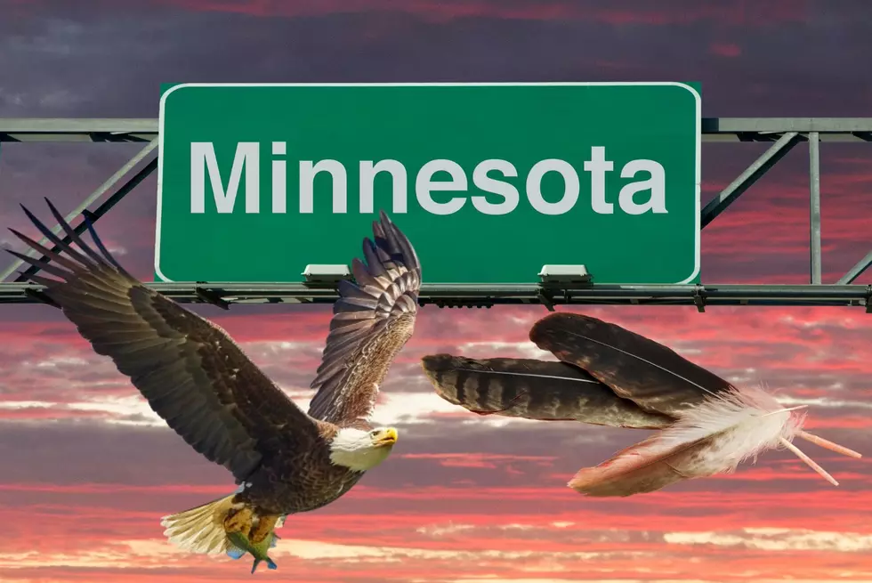 What Happens If You&#8217;re Caught With An Eagle Feather In Minnesota!