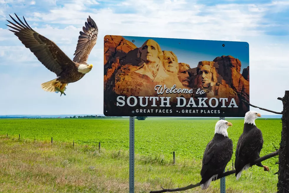 Is It Illegal To Get Caught With An Eagle Feather In South Dakota?