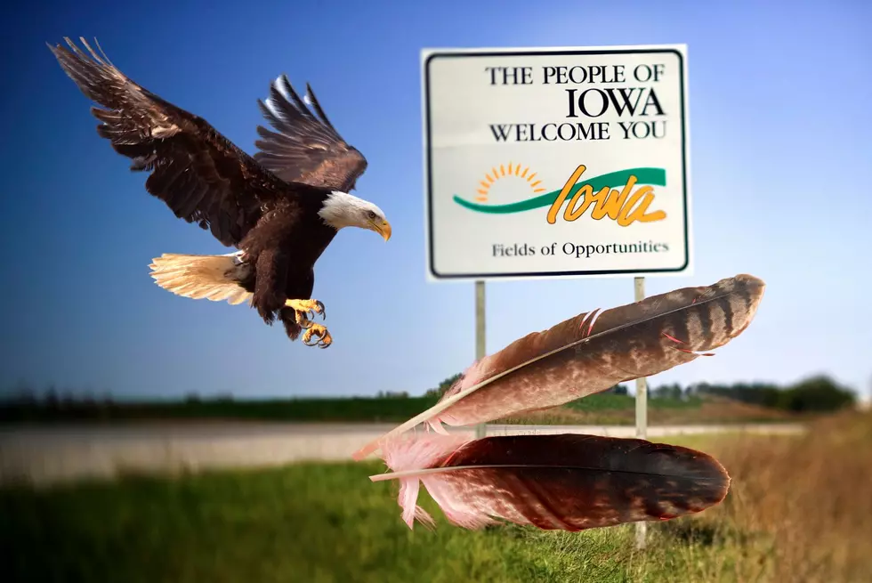 Is It Illegal To Get Caught With An Eagle Feather In Iowa?