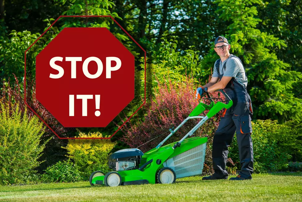 When Can You Legally Mow Your Lawn In Minnesota?