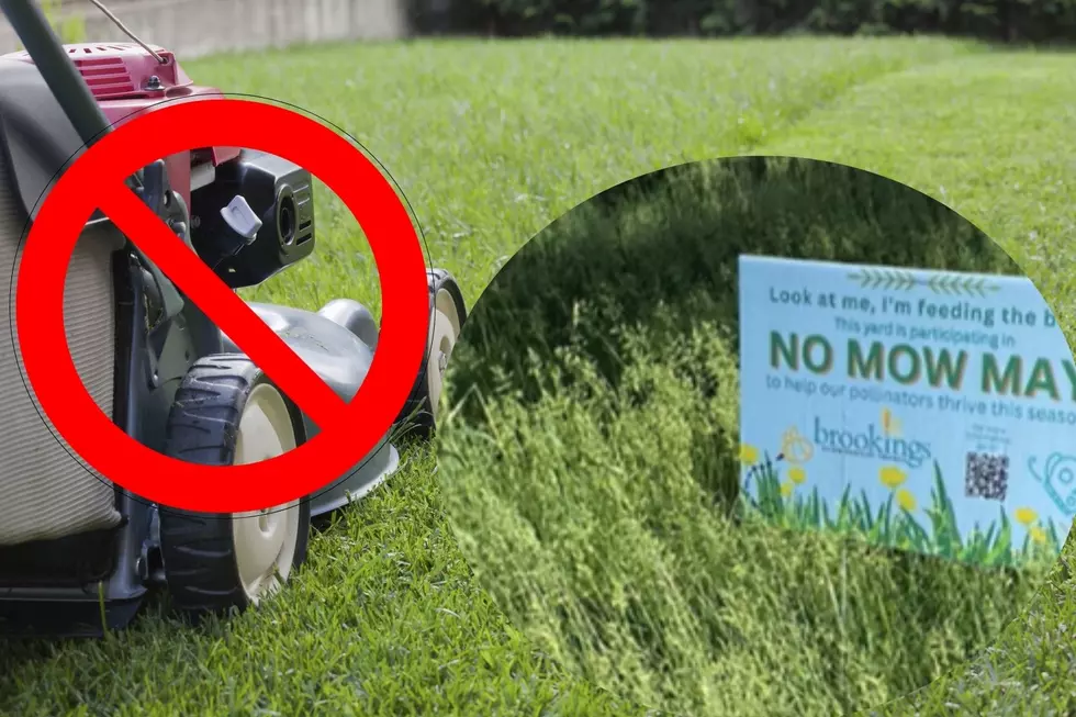 Brookings Telling Residents to Put Away Their Lawn Mowers in May