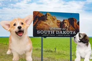 What Is The Most Popular Dog Breed In South Dakota?