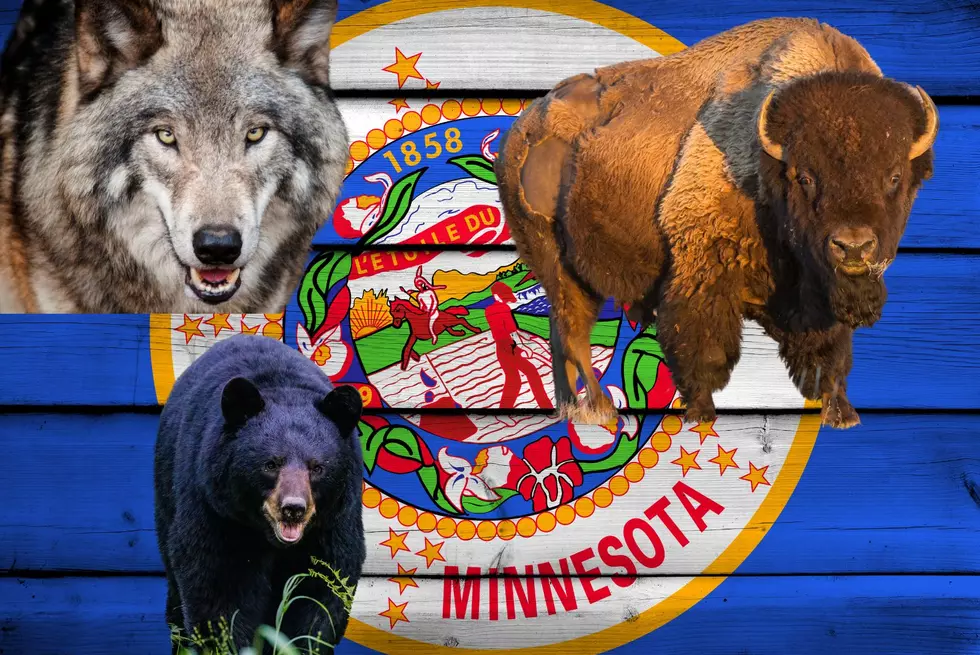 These Are The 8 Deadliest Animals In All Of Minnesota!