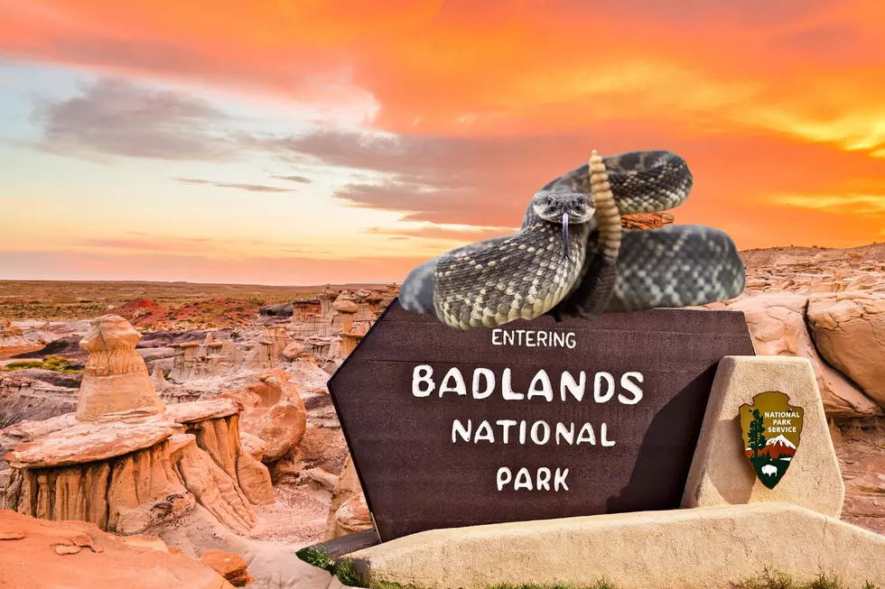 South Dakota Badlands Park Warns About Venomous Rattlesnakes